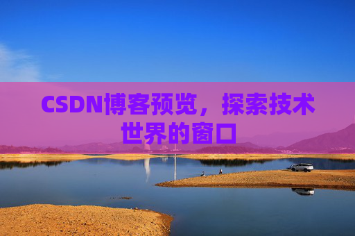 CSDN博客预览,探索技术世界的窗口